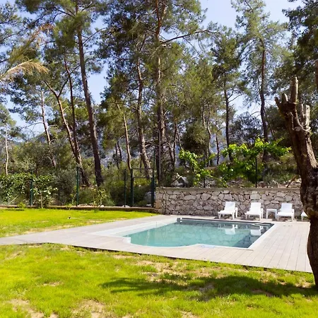 Antalya Silyan Hacisekililer