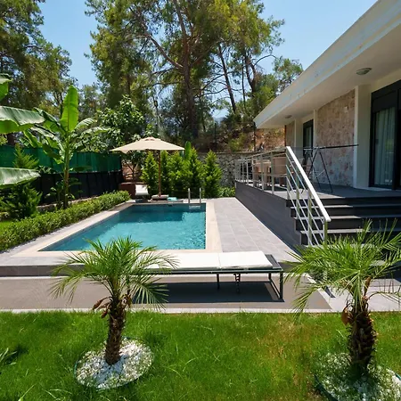 Antalya Silyan Hacisekililer