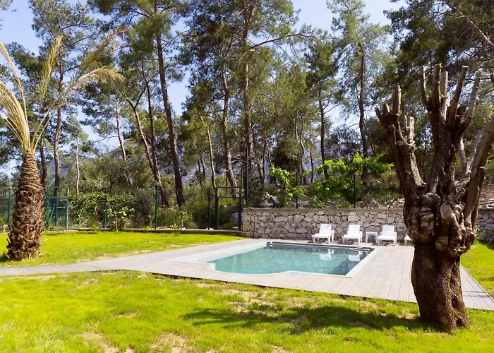 Antalya Silyan Hacisekililer