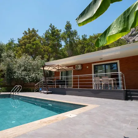 Antalya Silyan Villa *